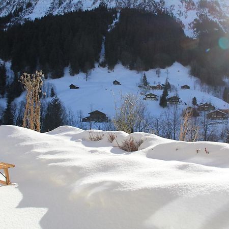 Chalet Pfingsteggblick Grindelwald Luaran gambar