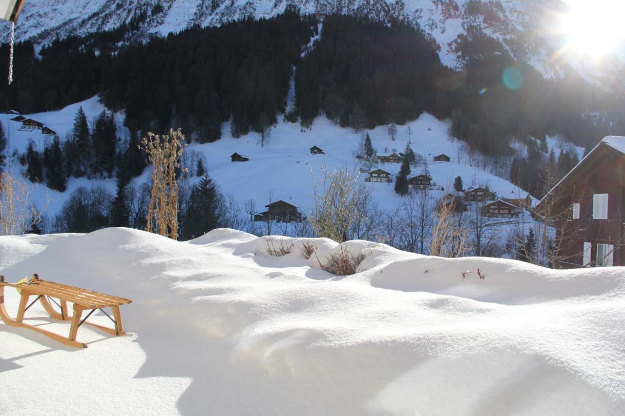 Chalet Pfingsteggblick Grindelwald Luaran gambar