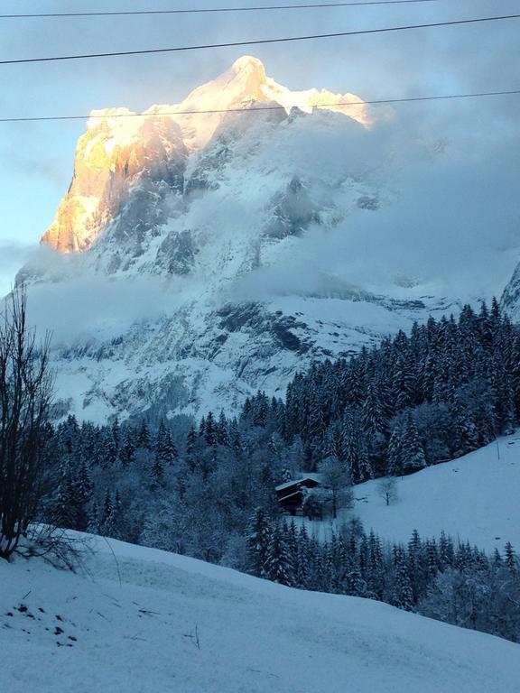 Chalet Pfingsteggblick Grindelwald Luaran gambar