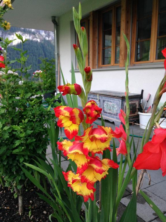 Chalet Pfingsteggblick Grindelwald Luaran gambar